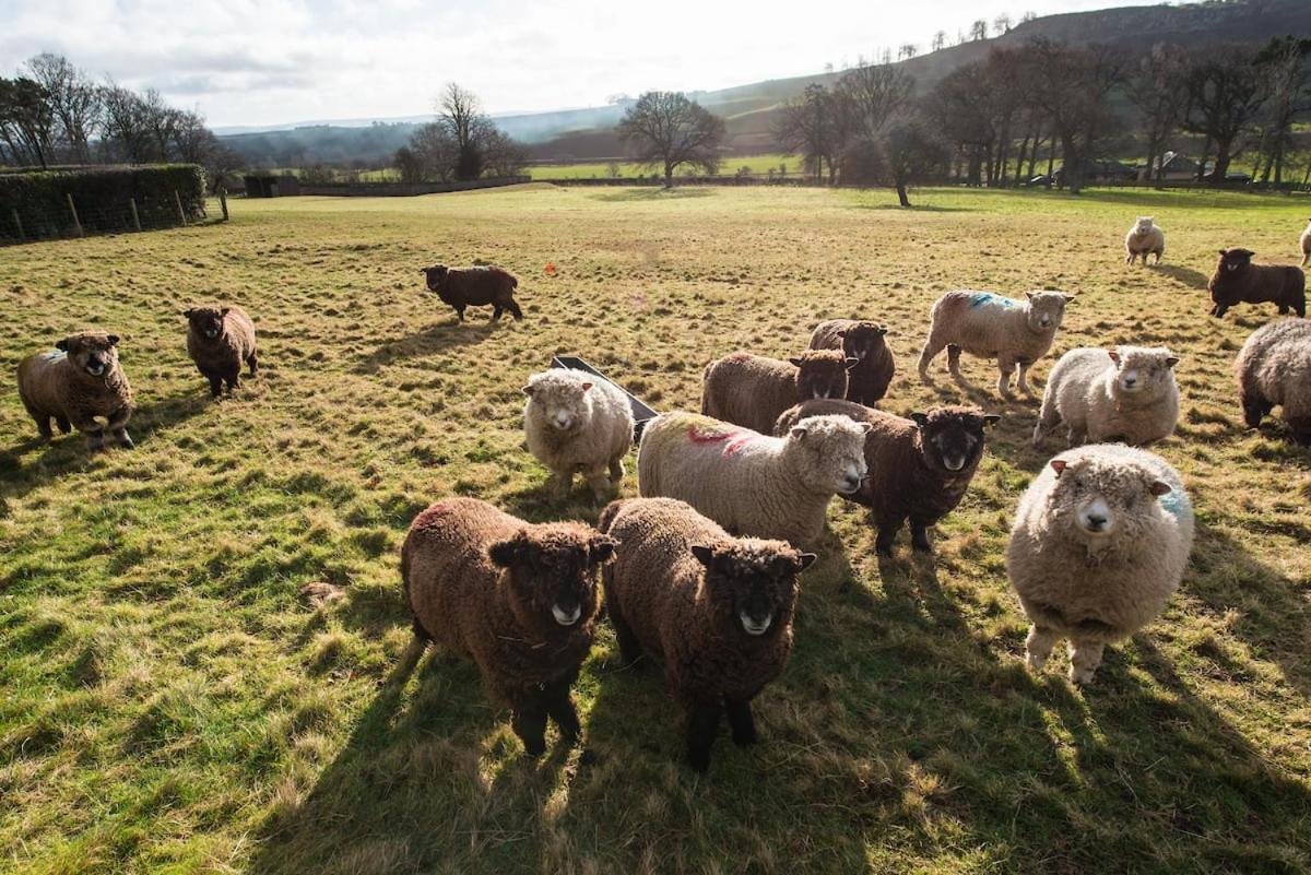 Holiday home Stunning Stables In East Lothian Country Estate *